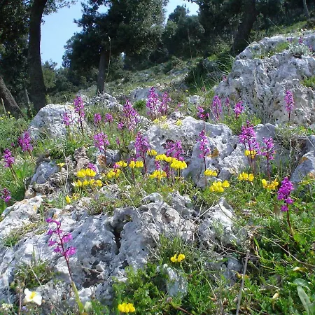 Orchidea Mattinata Parco Del Gargano Appartement Buitenkant foto