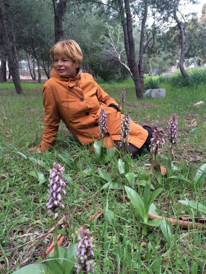 Orchidea Parco Del Gargano Mattinata